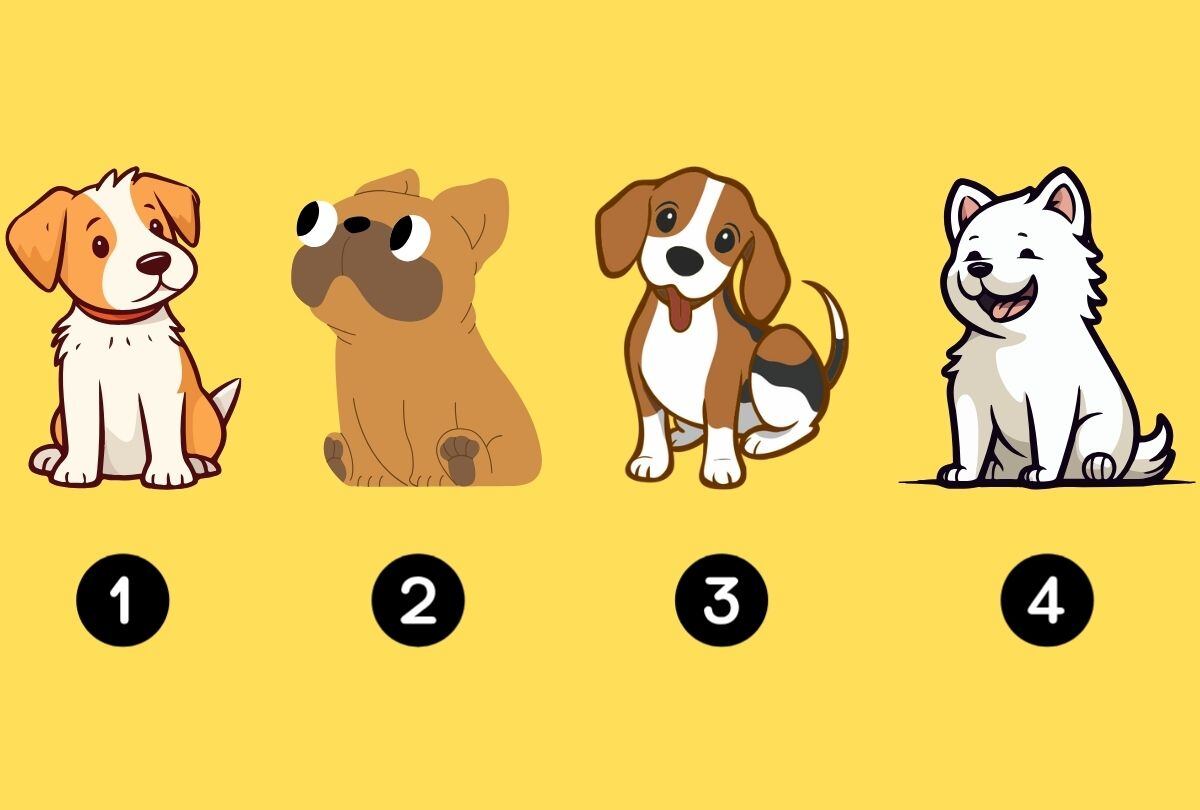 Personality test: choose one of the dogs to discover what the future holds for you (Design: Depor).