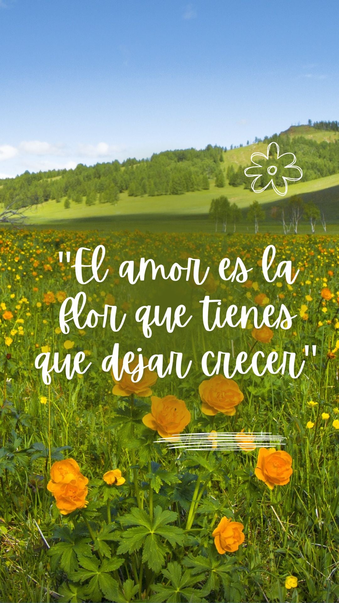 Este lunes 21 de septiembre es una fecha especial para regalar flores amarillas a tu persona especial. (Foto: Canva.com)