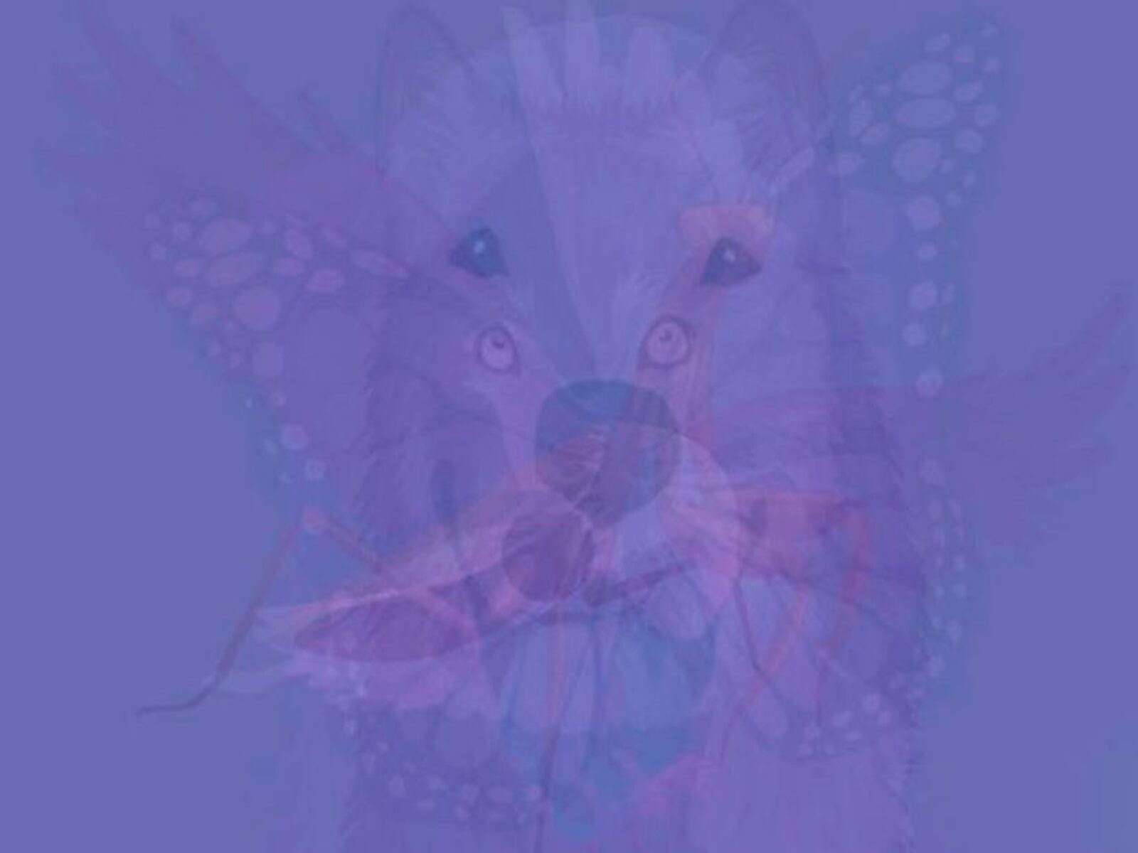 TEST VISUAL | La elección del primer animal que atraiga tu atención revelará secretos sorprendentes sobre tu personalidad y tu conexión con el mundo.