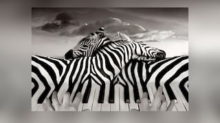 Test visual: conoce si eres exigente contigo mismo según qué ves en esta imagen