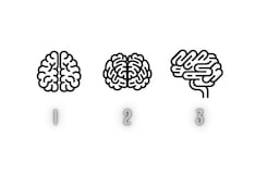 ¿Tienes una mentalidad ganadora? Eligiendo un cerebro lo sabrás