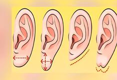 Conoce cuáles son tus actitudes de persona seria, según la forma de tu oreja