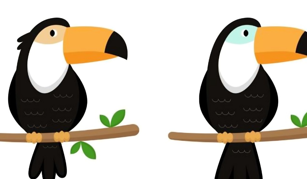 Acertijo Visual: Encuentra las 5 diferencias del tucán en 15 segundos y demuestra tu agilidad visual (Foto: GenialGuru)