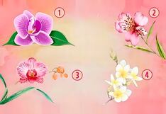 Test de personalidad: descubre qué piensan de ti, según la orquídea que eliges