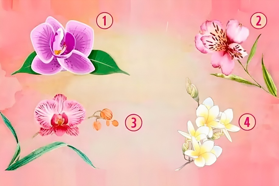 Test de personalidad: según la orquídea que elijas, sabrás cómo te relacionas con los demás (Foto: Genial Guru)