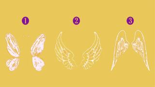 Elige un ala para descubrir en segundos si tienes una mente abierta