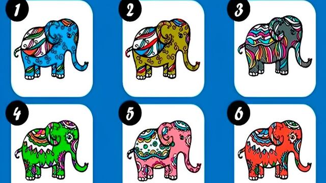 Elige a uno de los elefantes en imagen y revela tu principal objetivo de vida