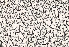 ¿Serás capaz de encontrar al perro entre los gatos? Muy pocos han logrado superar este reto visual