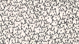 ¿Serás capaz de encontrar al perro entre los gatos? Muy pocos han logrado superar este reto visual