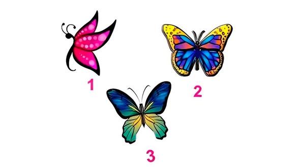 Test de personalidad: elige una de las mariposas en esta imagen para descubrir qué clase de amigo eres (Foto: Namastest).