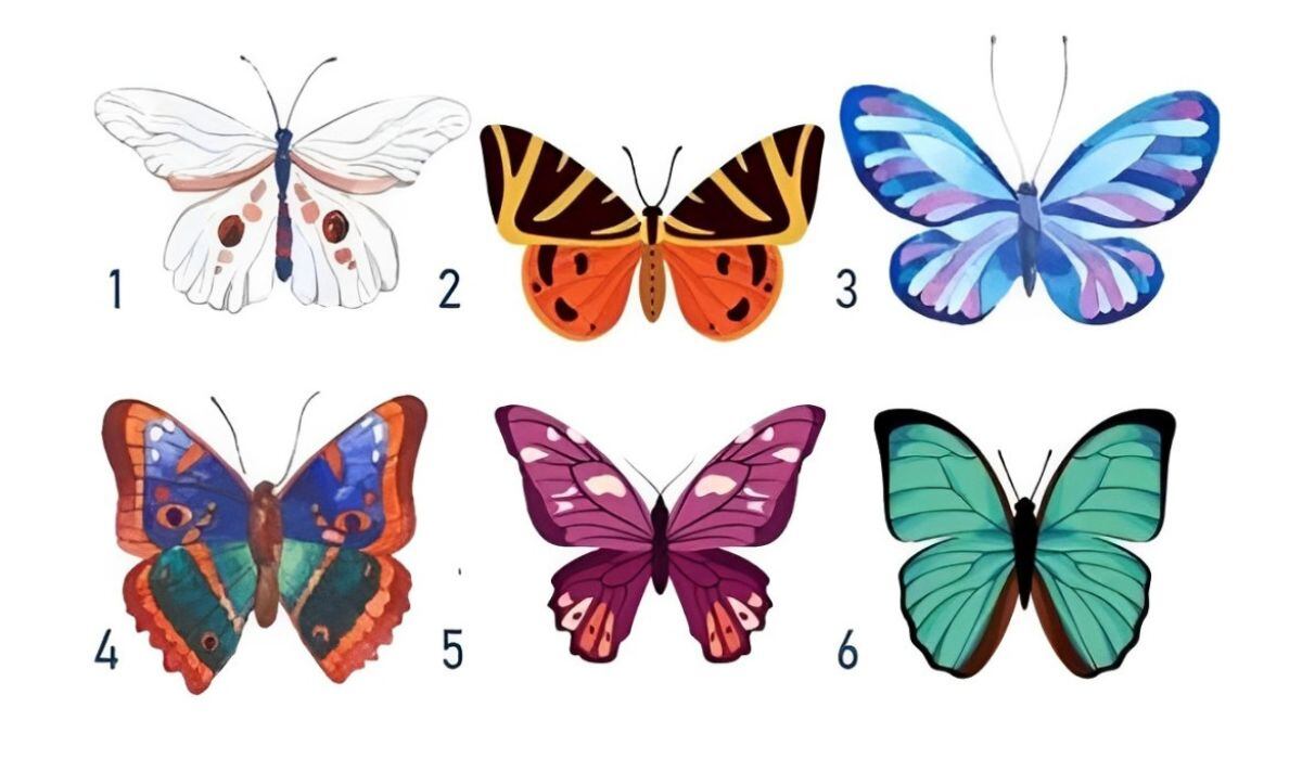 Descubre qué tipo de persona eres según la mariposa que escojas en esta imagen (Foto: Namastest).