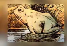 Test de personalidad: conoce si eres impulsivo aquí, según qué animal ves primero