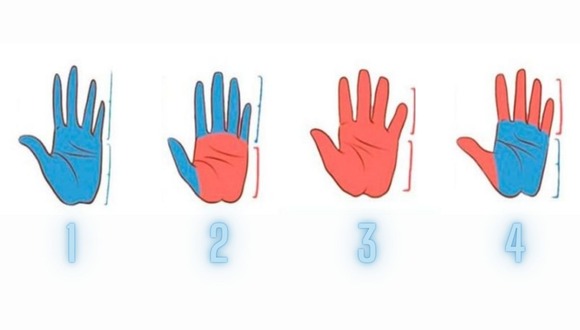 TEST VISUAL | Tómate el tiempo necesario para identificar una opción similar a tu mano. (Foto: Namastest)