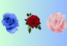 Elige una de las rosas en esta imagen para descubrir quién sería tu pareja ideal