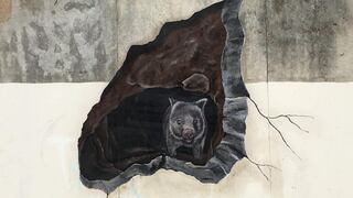 Google Maps indexa el mural de "Gutsy the wombat"en Australia