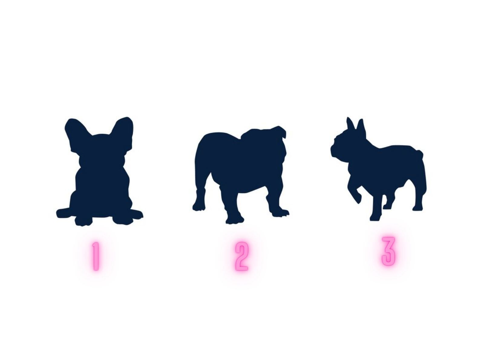 TEST VISUAL | Una de las mascotas más preferidas por los humanos son los canes. (Foto: Composición Freepik / Depor)