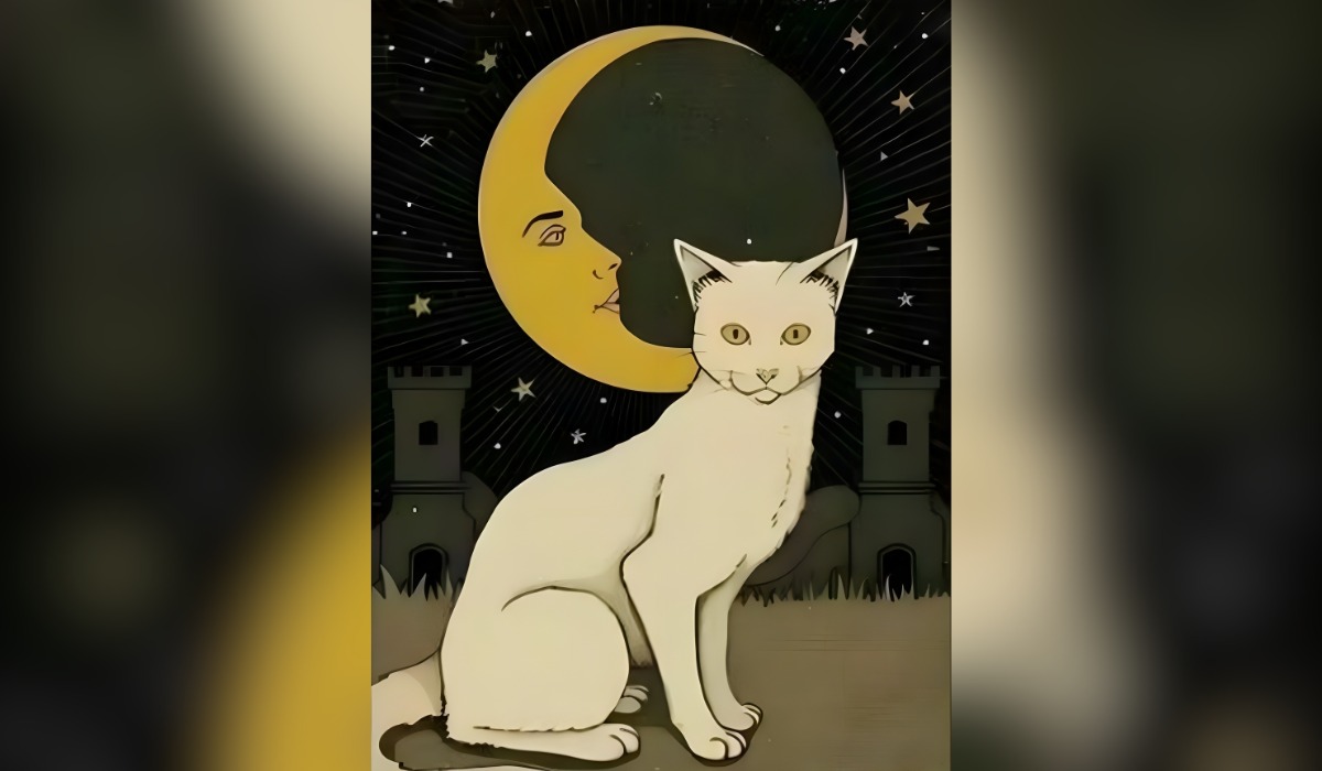 Test de personalidad: descubre la esencia de tu vida según qué ves primero en esta imagen (Foto: GenialGuru).