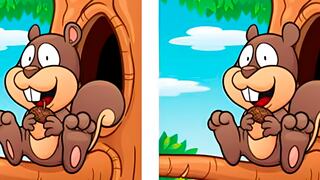 Encuentra las 5 diferencias en la imagen de la ardilla ¡Solo 1 de cada 10 usuarios lo consiguen!