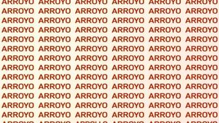 Cuentas con solo 7 segundos para hallar la palabra ‘arrollo’ en esta sopa de letras