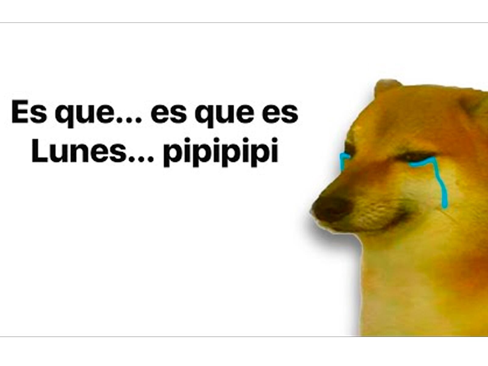 WHATSAPP | No dejes que el "Blue monday" te termine por tumbar a la cama. (Foto: Memegenerator)