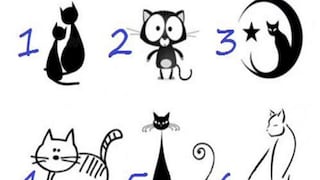 Obtendrás información sobre tu forma de ser apenas selecciones un gato