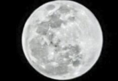 Con este celular de Xiaomi podrás tomar fotos a la Luna nítidamente