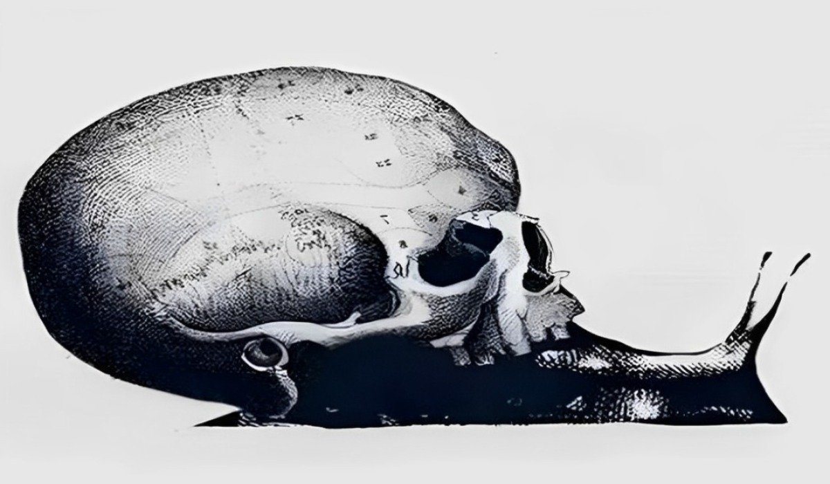 Descubre si eres persona serena según lo primero que ves en este test visual (Foto: GenialGuru).