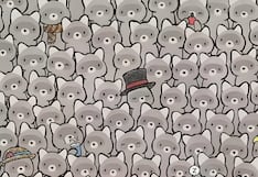 ¿Podrás encontrar al gato oculto en la imagen? Solo las personas con alto coeficiente lo consiguen