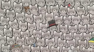 ¿Podrás encontrar al gato oculto en la imagen? Solo las personas con alto coeficiente lo consiguen