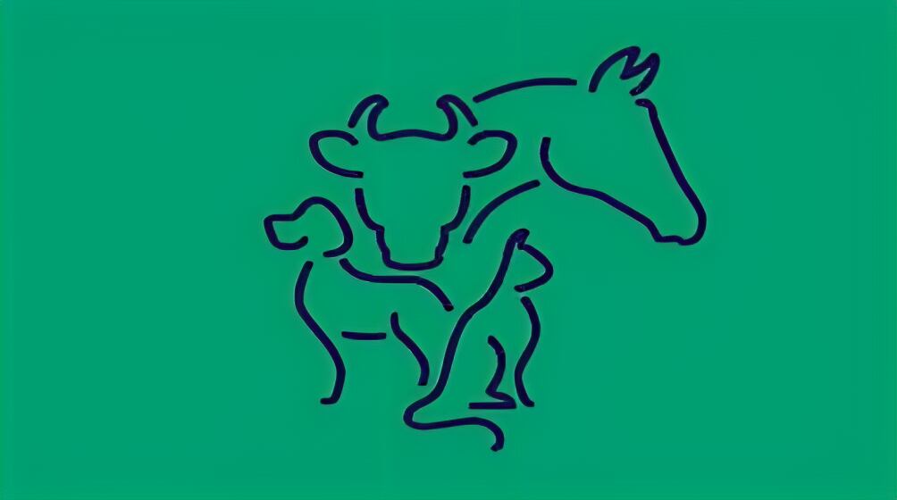 El animal que veas primero en la imagen revelará cuál es tu tipo de personalidad (Foto: GenialGuru).