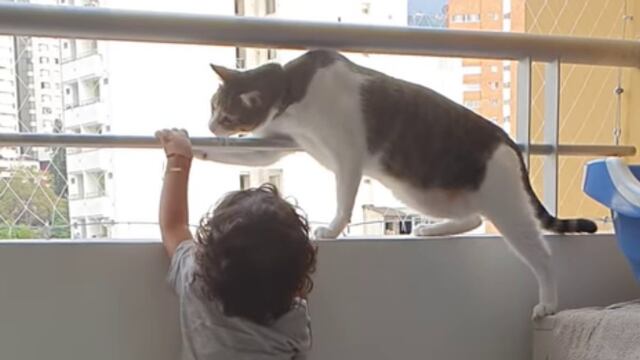 Gato ‘niñero’ evita que un bebé se suba a un balcón y se gana la admiración de cientos de usuarios