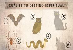 Conoce tu destino espiritual y la ayuda que necesitas con este test de personalidad