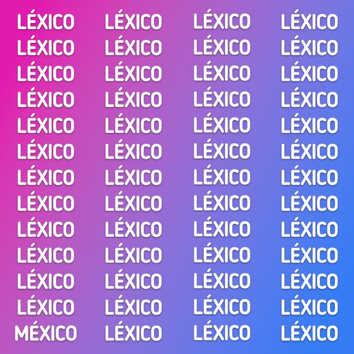 ¿Puedes encontrar la palabra ‘MÉXICO’ que se oculta en la imagen en 5 segundos? (Foto: GenialGuru).