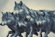 La cantidad de lobos que observes en esta imagen te dirá si eres alguien rencoroso