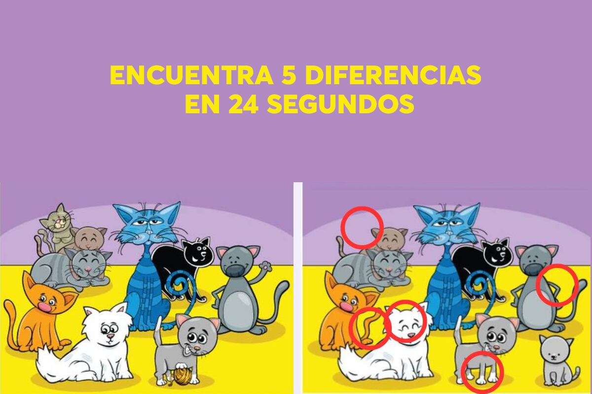 En esta imagen hemos encerrado en círculos rojos las 5 diferencias. (Foto: Spatial Learners)