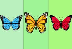 ¿Qué destaca de ti ante los demás? Elige una de las mariposas y descúbrelo