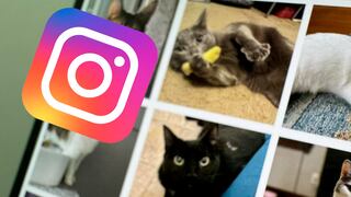 Instagram: cómo crear tu “Top Nine” del 2023