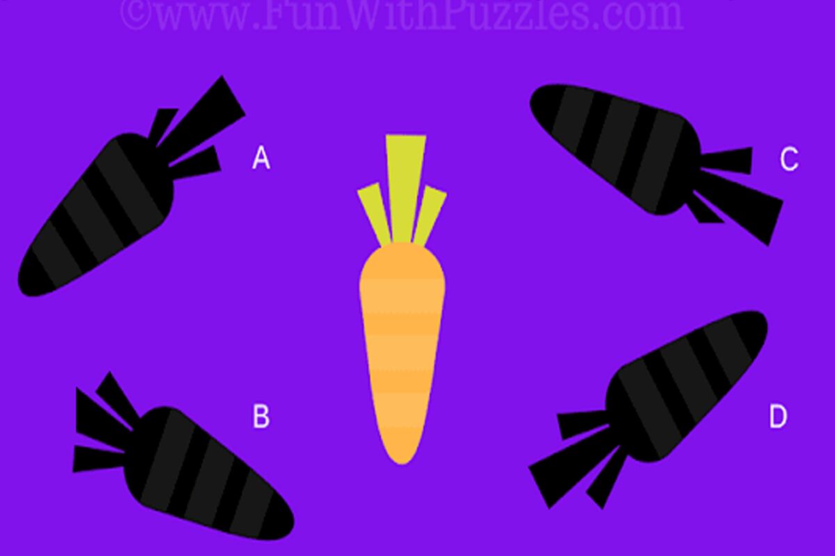 DESAFÍO VISUAL | ¿Puedes encontrar la sombra correcta? |Foto: funwithpuzzles