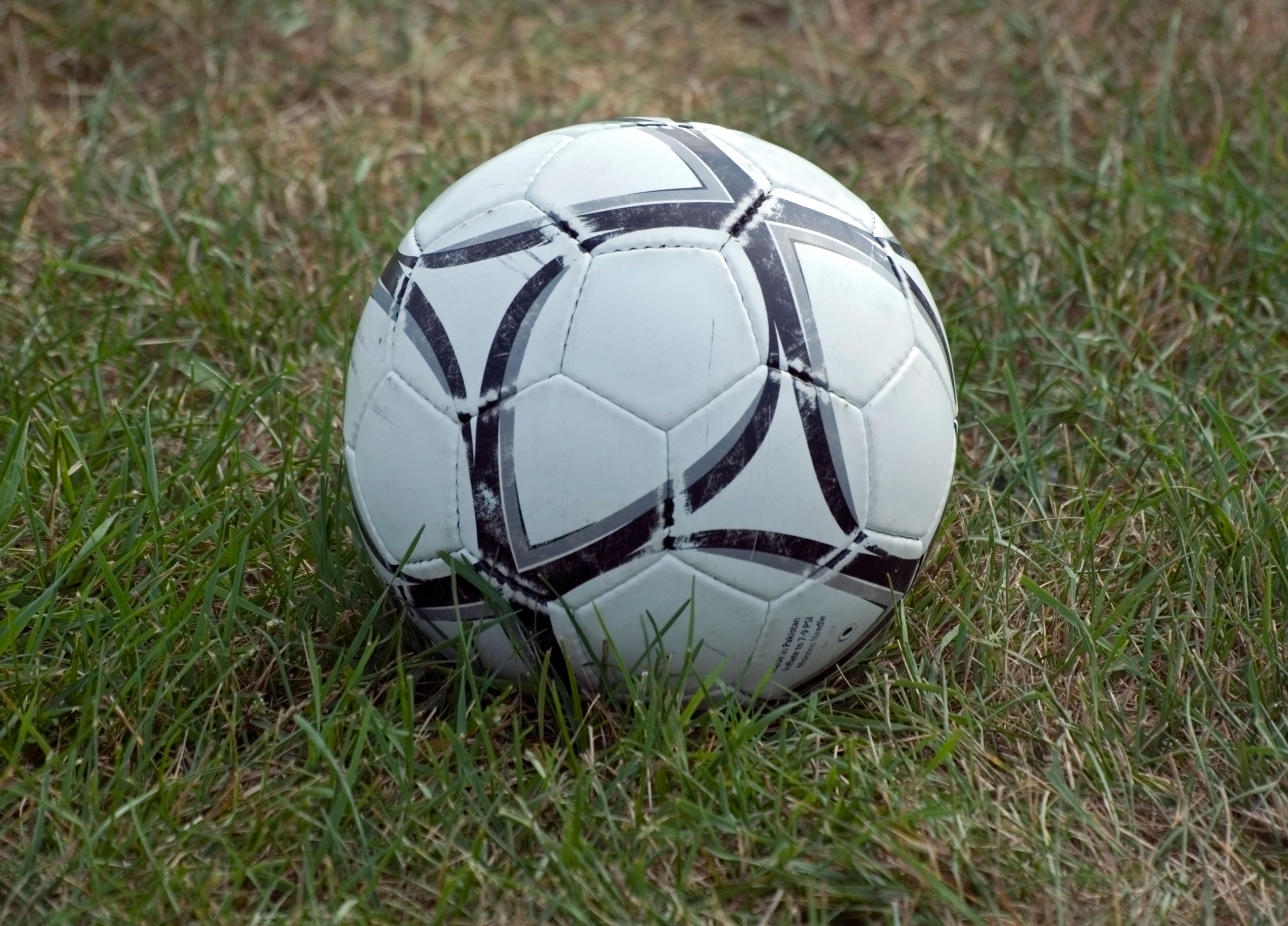 <p>Foto: Alamy</p>
