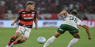 Pronósticos Cruzeiro vs Flamengo: se espera un partido muy parejo