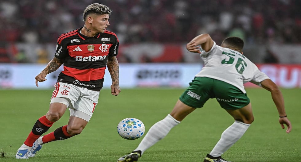 Pronósticos Cruzeiro vs Flamengo: se espera un partido muy parejo - Depor