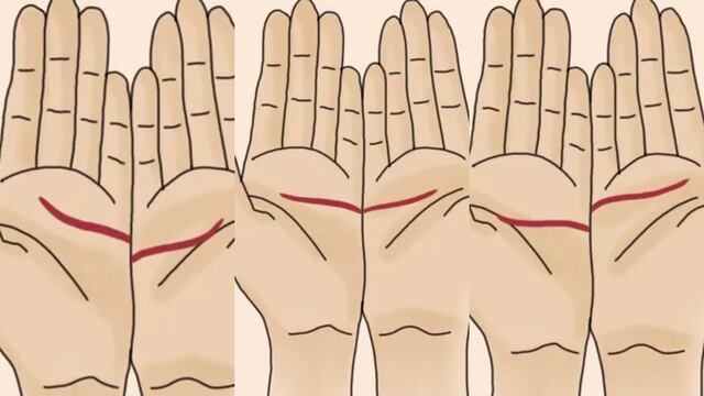 Observa las líneas de las palmas de tu mano y entérate qué buscas de una pareja