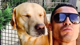Amor por los animales: Cristiano Ronaldo ayudó de esta forma a salvar un albergue de 80 perros