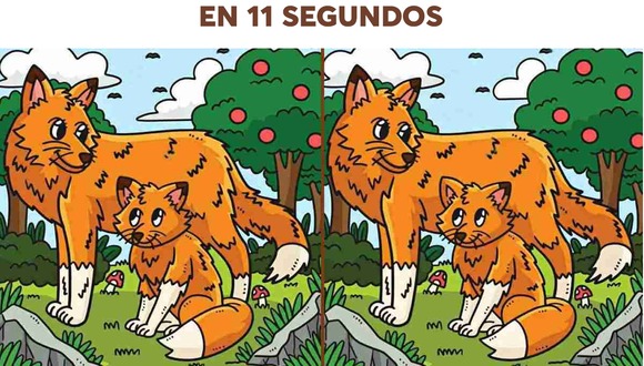 Hay 3 diferencias entre las dos imágenes. ¡Tienes ojos increíblemente agudos si puedes detectar las 3 diferencias en 11 segundos! (foto: jagranjosh)