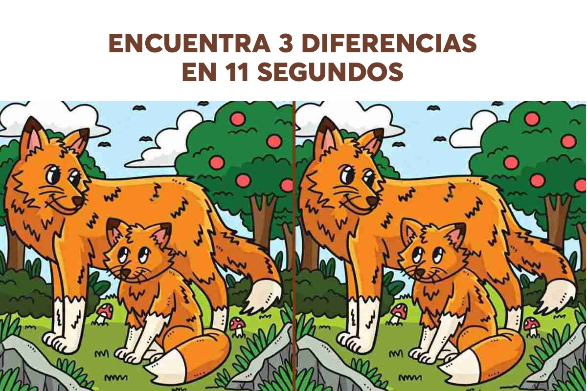Hay 3 diferencias entre las dos imágenes. ¡Tienes ojos increíblemente agudos si puedes detectar las 3 diferencias en 11 segundos! (foto: jagranjosh)