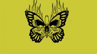 ¿Eres alguien leal? Lo conocerás si me dices qué viste primero