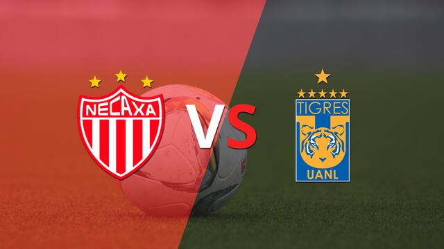 Victoria parcial para Necaxa sobre Tigres en el estadio Victoria