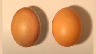 Encuentra el huevo real en 3 segundos y pon a prueba tu coeficiente intelectual
