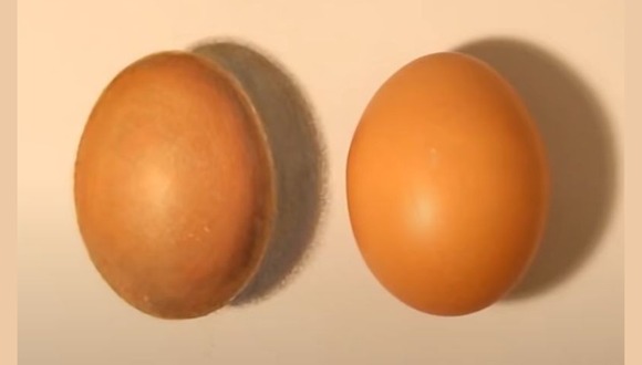 DESAFÍO VISUAL | Tienes un cerebro agudo si puedes encontrar el huevo real en 3 segundos. | YouTube