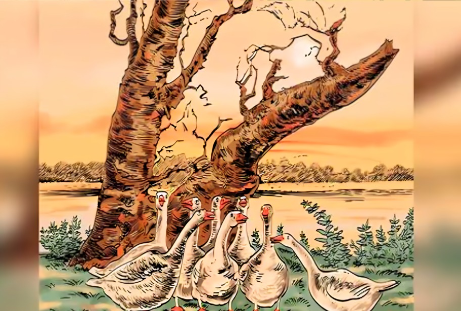 Reto visual: ¿Lograrás hallar al zorro camuflado en el paisaje en 13 segundos? Solo los más astutos pueden hacerlo (Foto: Depor)